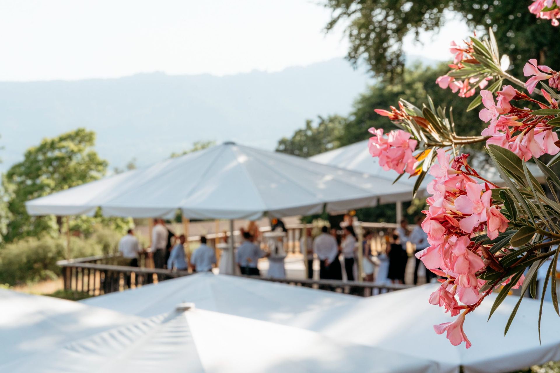 Sommerlicher Apéro-Empfang bei einem Business-Event in der Schweiz